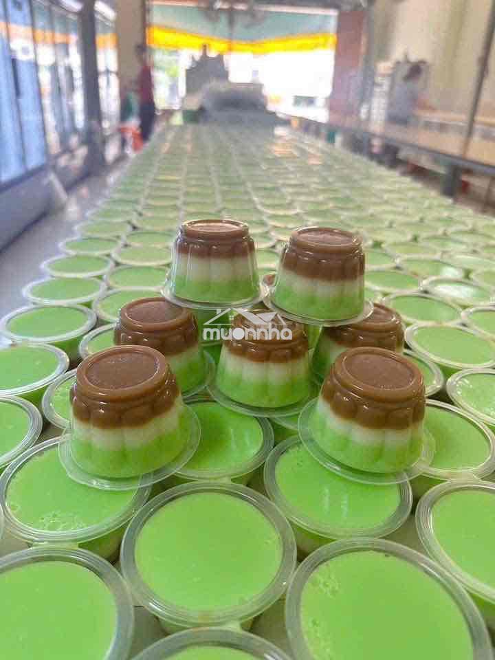 Bán nhà mặt tiền d9 kdc việt sing - 2