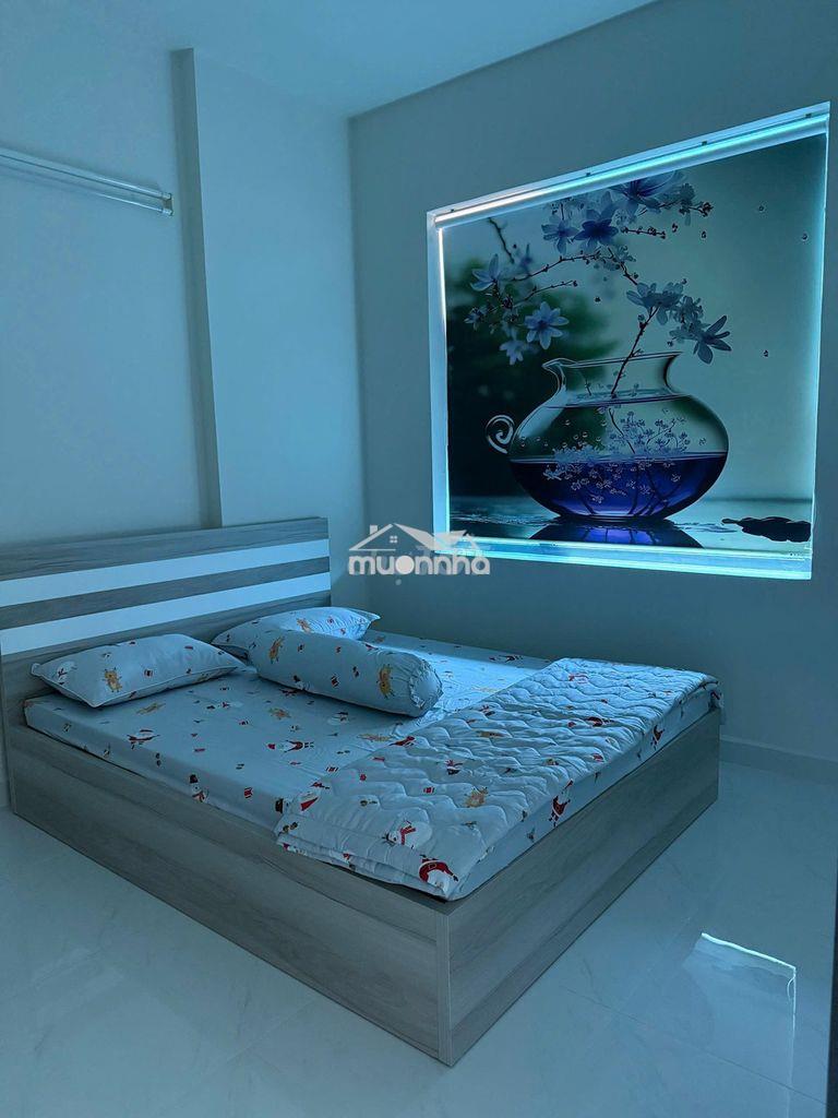 Cần cho thuê căn hộ green river quận 8  dt 65m2, 2pn, 2wc,giá 10.5 tr - 2