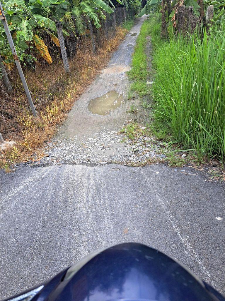 Bán đất- - 3