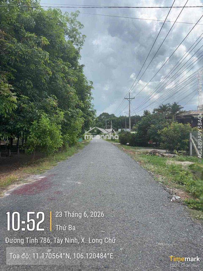 Ngân hàng thanh lý tài sản tại : xã long chữ, huyện bến cầu, tây ninh