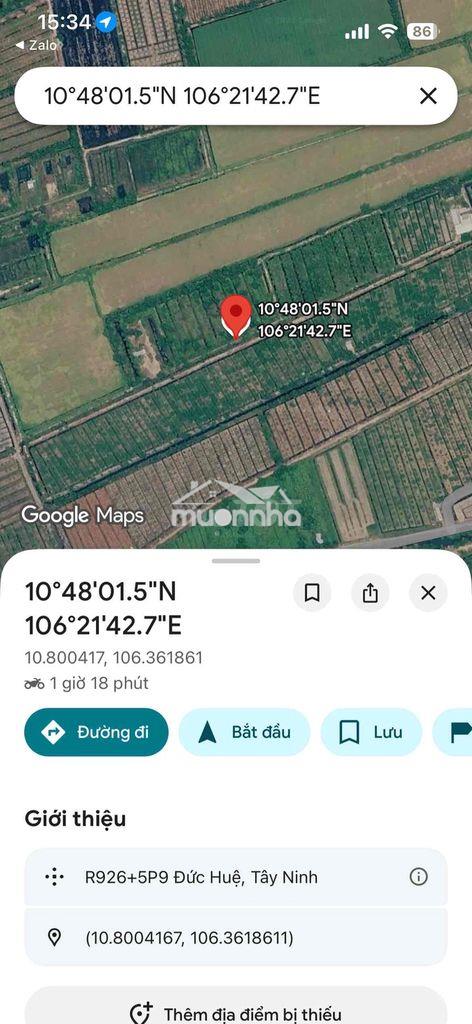 Bán đất sản xuất – đức huệ, long an - 2