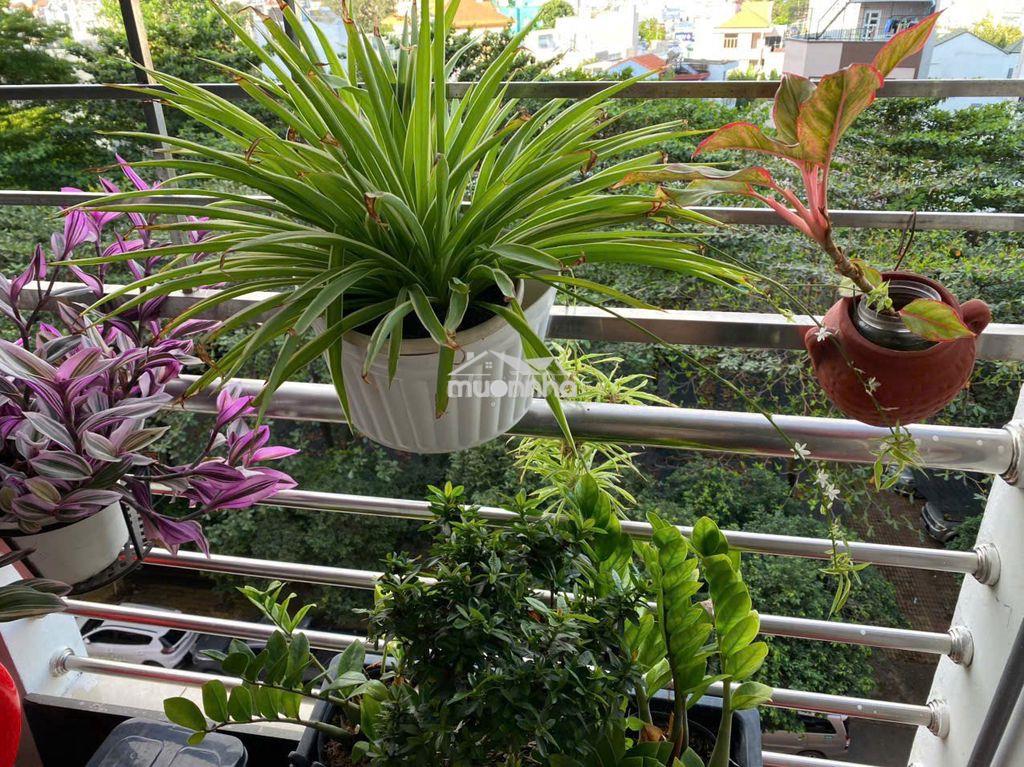 Bán chung cư phường gò vấp (p.17 cũ), trục nguyễn oanh. đã có sổ ạ ^^ - 2