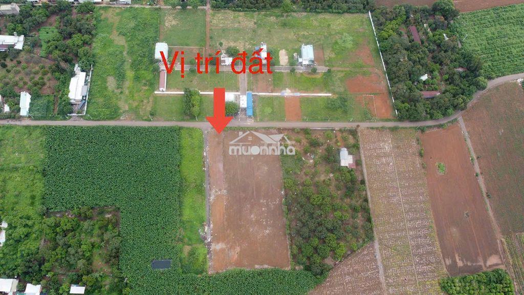 Đất đông hòa hưng thịnh lô 2 mặt tiền 12m giá chỉ 1t350 - 2