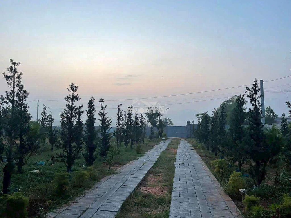 Đất gần ngay khu du lịch mũi né phan thiết - 4