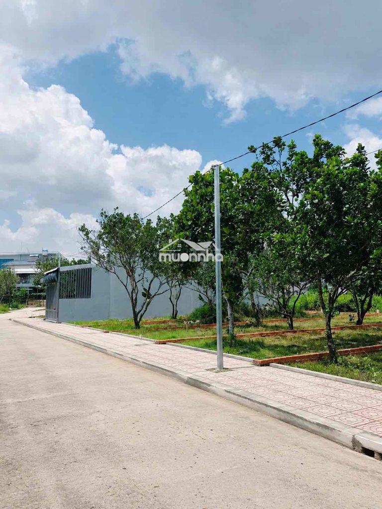 Đất ngộp trung tâm long khánh giá rẻ - 2