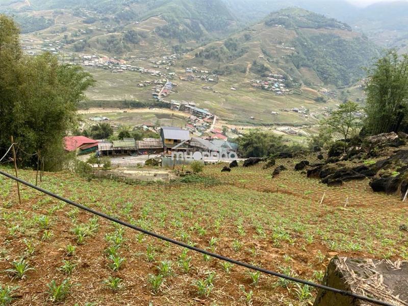 Cơ hội đầu tư đất đẹp tại cầu mây, sa pa, view thung lũng mường hoa