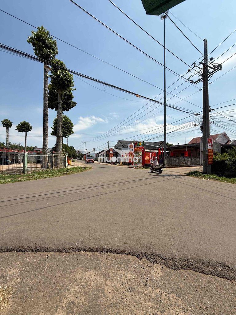 Bán đất vườn trái cây p. xuân lập - long khánh - 2