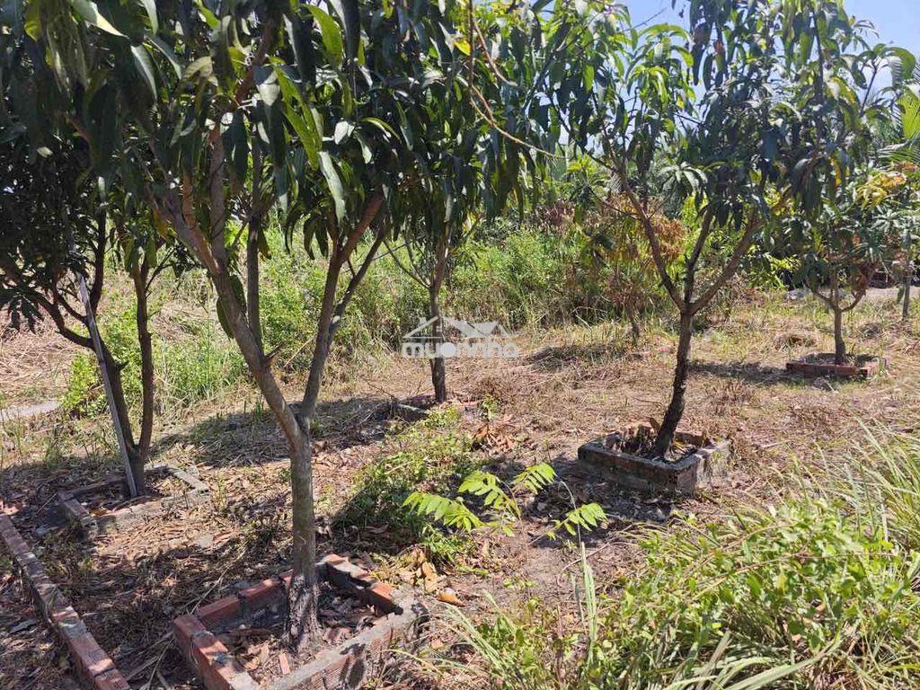 Nhà vườn có sẵn hồ đường nguyễn văn tạo, hiệp phước - 2
