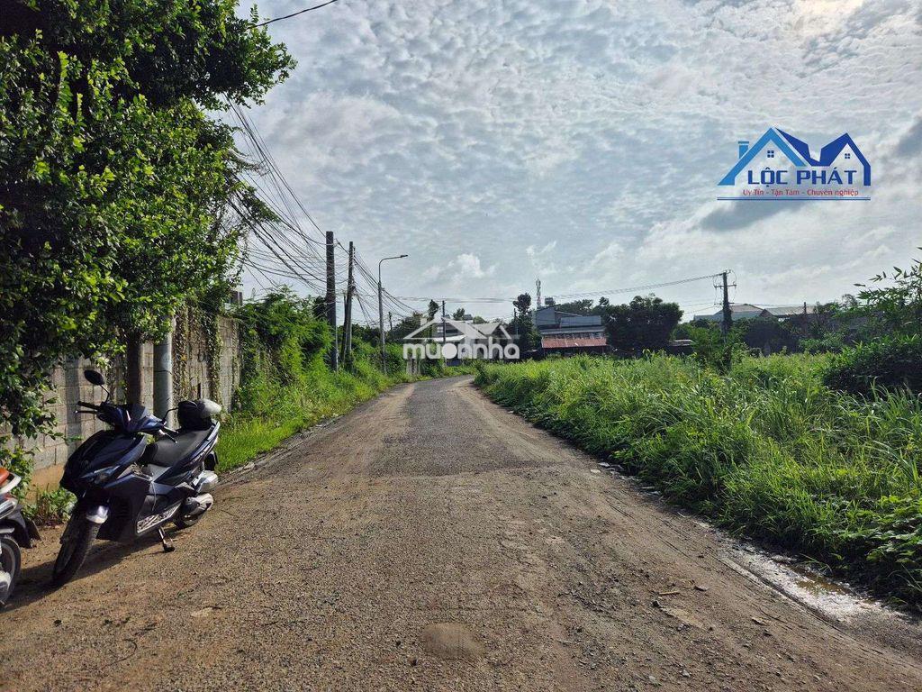 Đất thổ cư đường 768 phường tân triều tp đồng nai  - 3