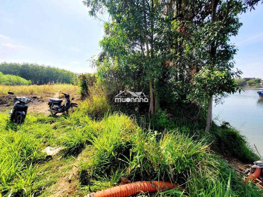 Cho thuê đất 5.000m2 - bình lợi - vĩnh cửu - giá: 10tr - 3