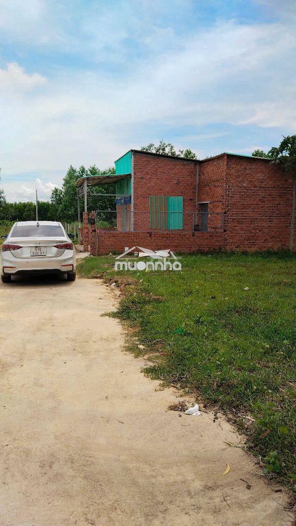Bán đất nông nghiệp phú mỹ (có sẵn nhà) - 2