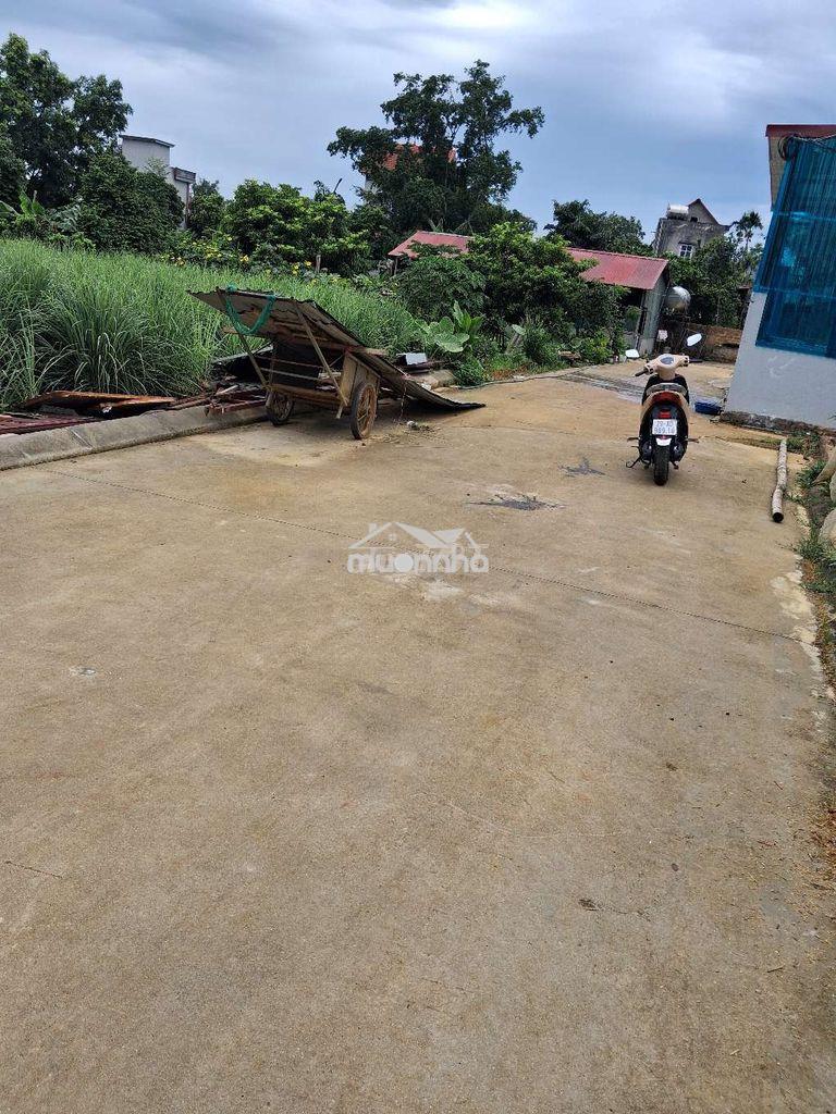 Bán 117m² đất phú cát, thôn hòa trúc, full thổ cư sát kcn cao hòa lạc - 4