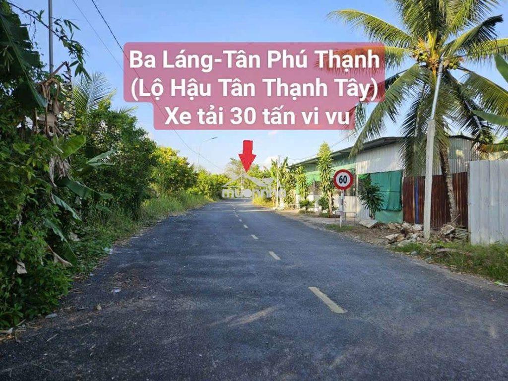 Đất nền biệt thự vườn view sông, lộ ôtô -gần ql61c, cái răng, cần thơ - 3