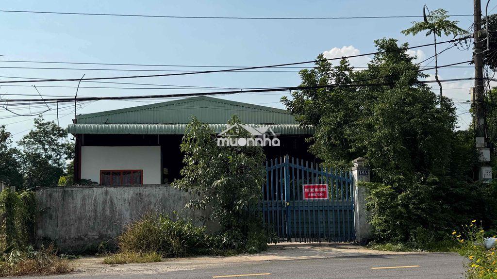 Cho thuê nhà xưởng 400m2 mặt tiền đường, xe tải vào tới nơi - 3