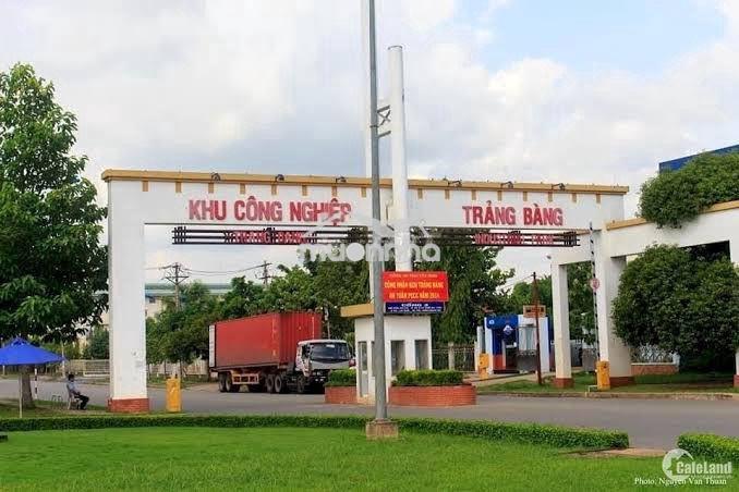 Bán lô đất ngang 8m, kcn trảngbàng 690tr - đường qh 16m - 200m2 thổ-sh - 4