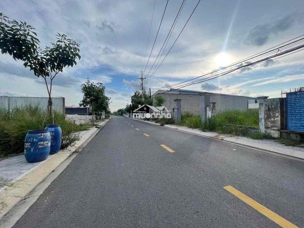 Bán đất sổ hồng riêng 135m2 ở tân phú trung - 2