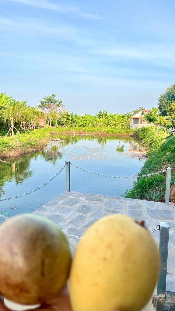 Chính chủ bán 5.000m² đất vườn 328m² thổ cư, mặt tiền 200m, có hồ & su - 2