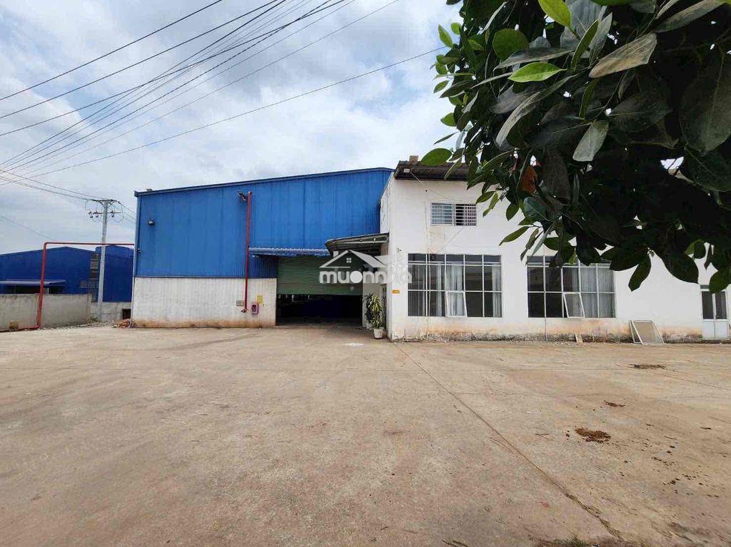 Bán xương tân uyên bình dương hiện đang cho thuê 250tr tháng - 3