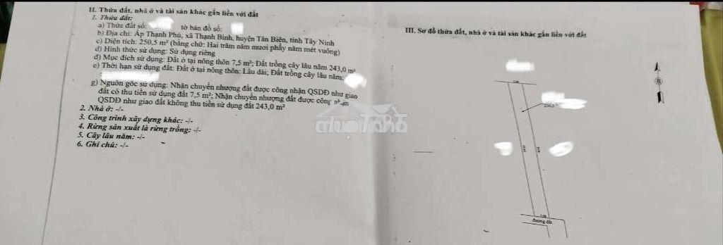 Đất trồng cây lâu năm phân lô cách 1 căn nhà là mặt tiền đường lớn - 2