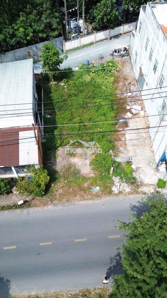 🔥 Đất đẹp phước vĩnh an củ chi – nở hậu 8.8m – full thổ cư 🔥 - 2