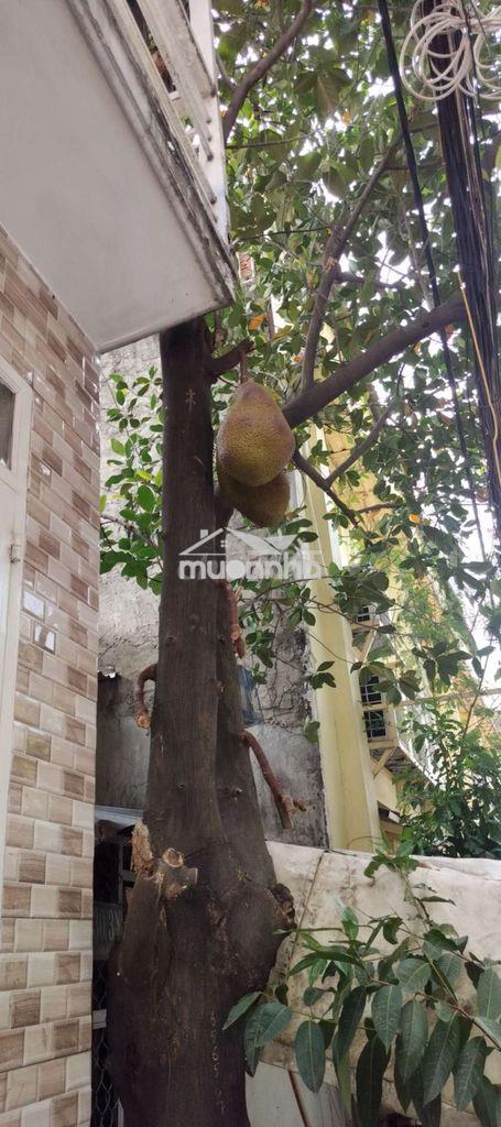 Nhà thuê chợ cây me bà điểm hóc môn giá rẻ - 2