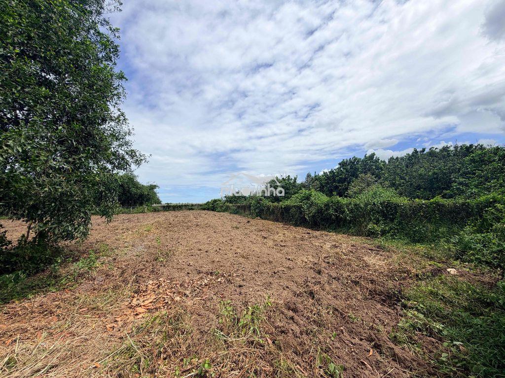 Bán 2700m2 đất sổ riêng p. ninh thạnh tây ninh - 3