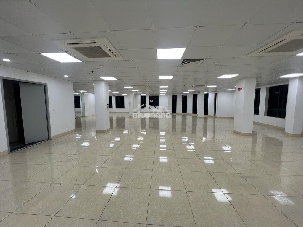 Cho thuê vp phố nguyễn khang,cầu giấy,hà nội,dtsd 200m2 – 300m2, - 4