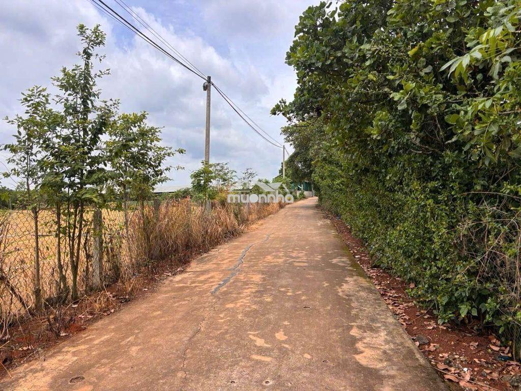 Chủ kẹt tiền bán 1200m2 tại xuân tây,đồng nai,có 100tc,giá 990tr - 2