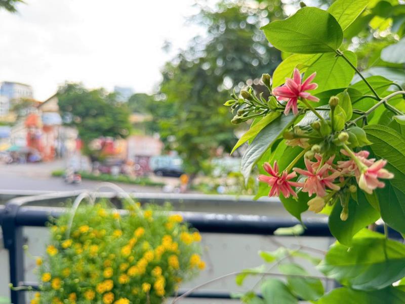 Cho thuê căn hộ 1pn ban công lớn ngay cầu thị nghè giáp quận 1 - 2