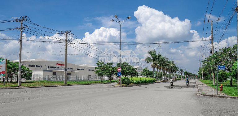 Bán nền sadeco long hậu chỉ 18,5tr/m2 – mặt tiền 12m – shr trao tay - 4