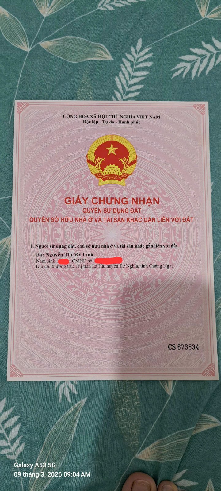 Bán nhà riêng xã vệ giang (nghĩa hiệp cũ) - 4
