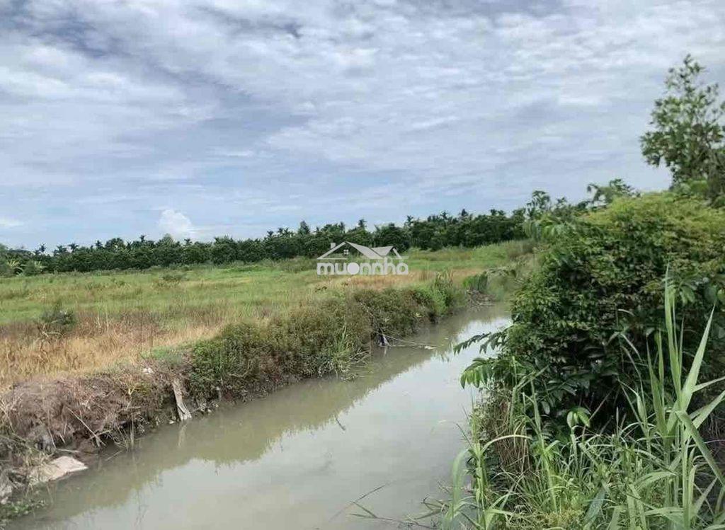 5 công tầm lớn định môn - Ảnh 3
