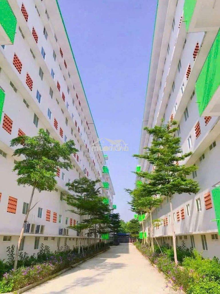 Nhà chỉ có 206 triệu. rẻ bèo. người nghèo cũng mua được - 3