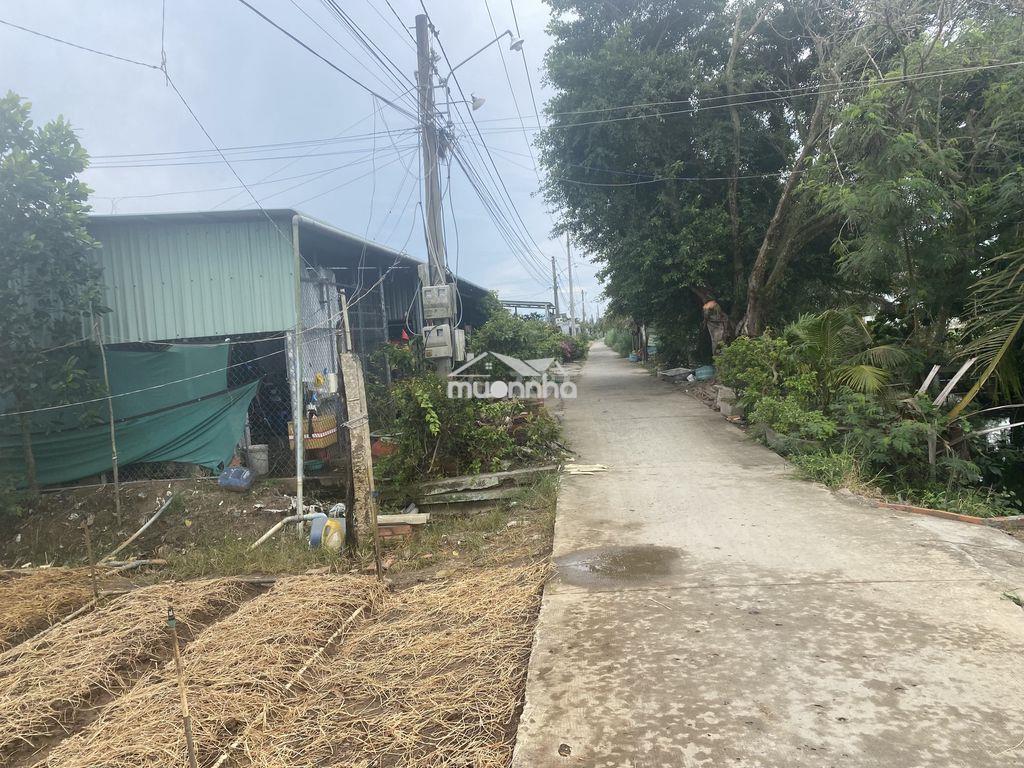 Bán đất mặt tiền đường xe hơi xã bình nghị gò công đông - Ảnh 3