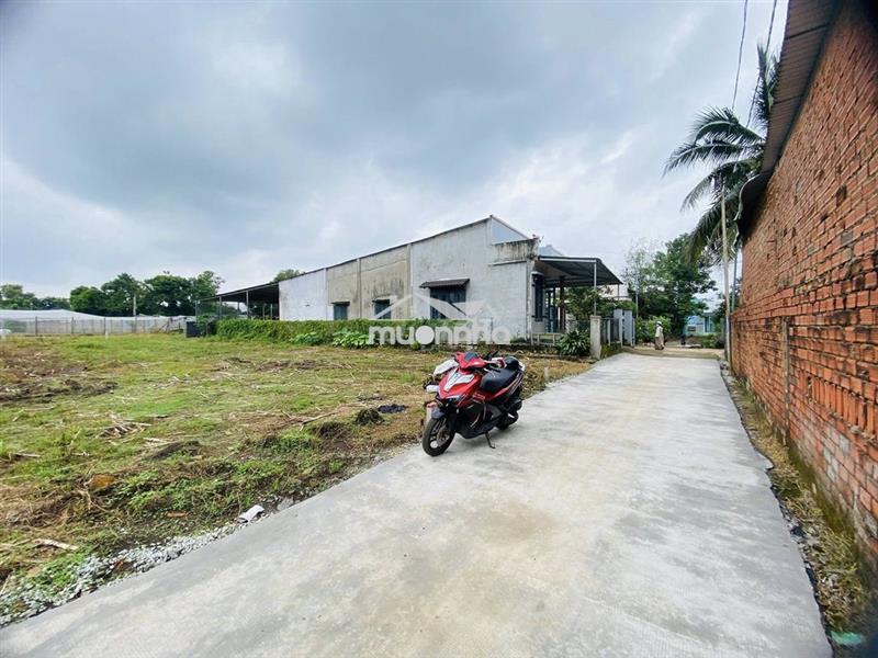 Chính chủ bán nhanh lô đất full thổ cư – xuân phú, đồng nai