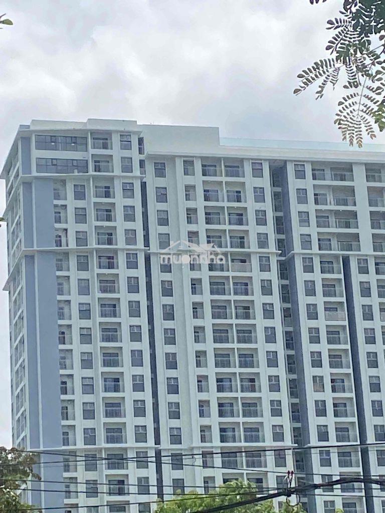 Cần bán că hộ chung cư mia- 61 ngô thì nhậm . liên chiểu - đà nẵng . - 2
