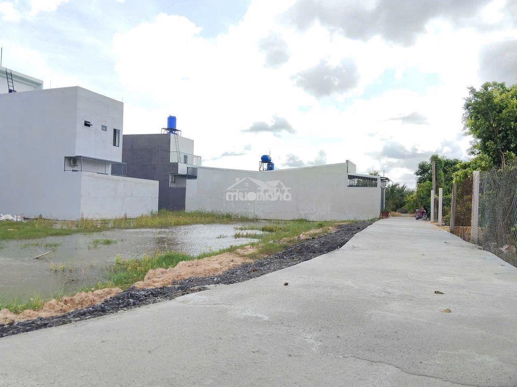 Đất nền chính chủ giá rẻ - 3