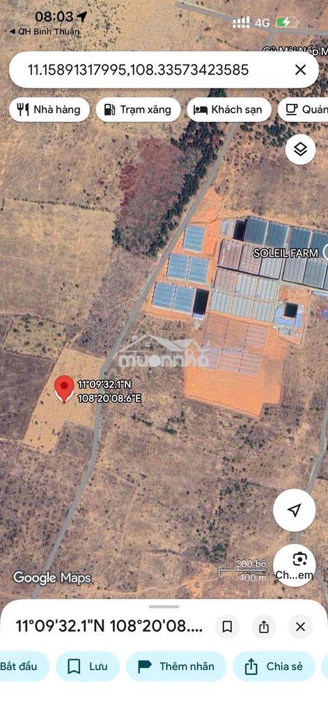 Đất thị trấn lương sơn bắc bình bình thuận 21483 m2 giá 1,8 tỉ - Ảnh 2