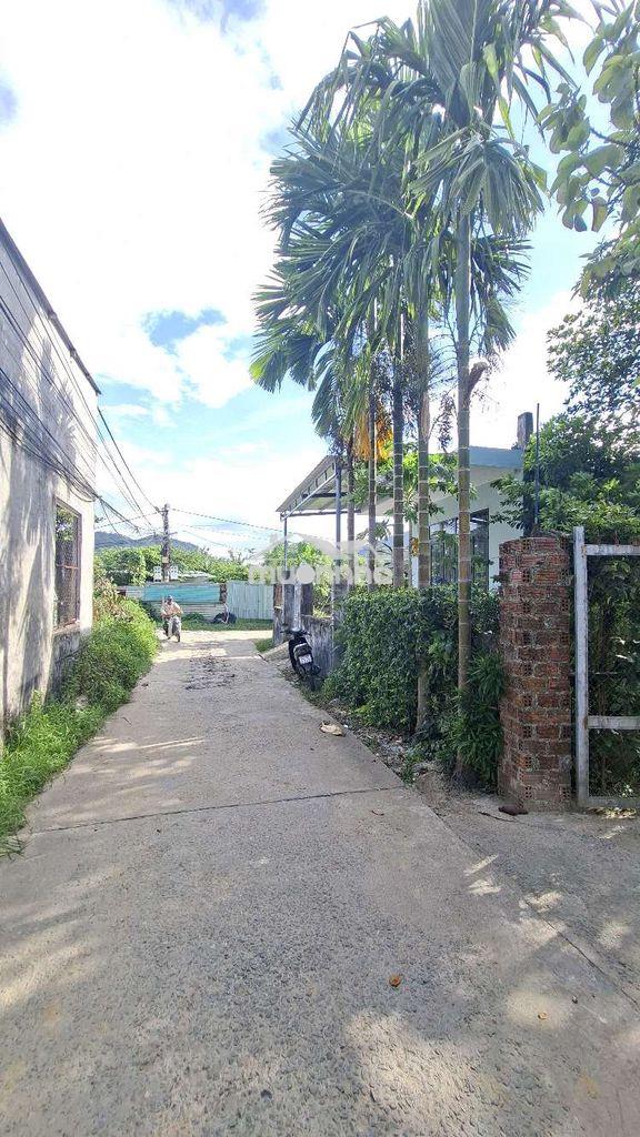 ✳️ Lô góc ô tô tận nơi cách đh duy tân 1km - hòa khánh  - 3
