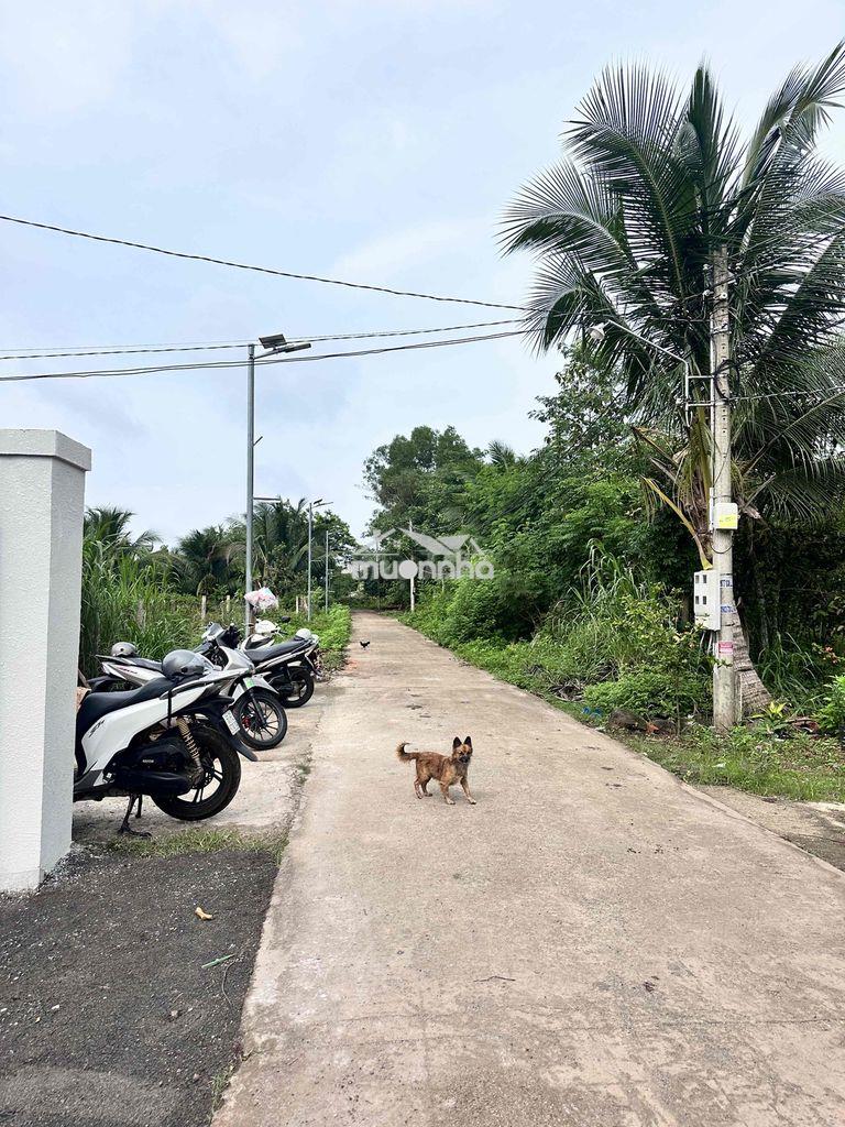 Top nhà ngang rộng hơn 12m ngay tại p.long khánh - Ảnh 4