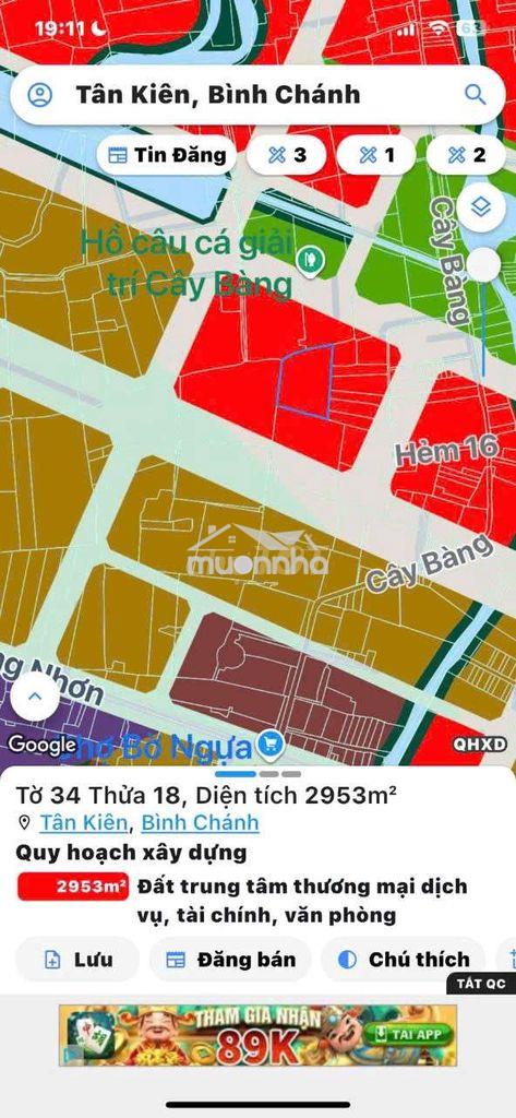Bán đất trồng cây lâu năm xã tân nhựt ( tân kiên-bình chánh) - Ảnh 2
