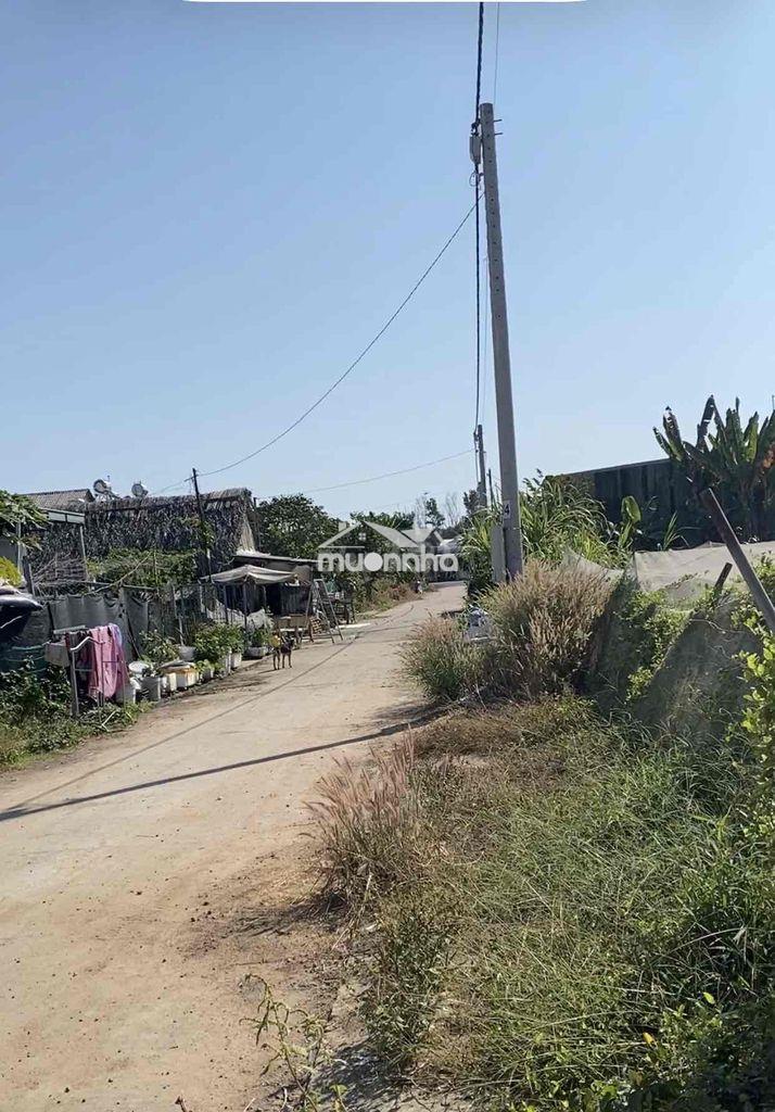 Nhà nguyên căn cho thuê - 3