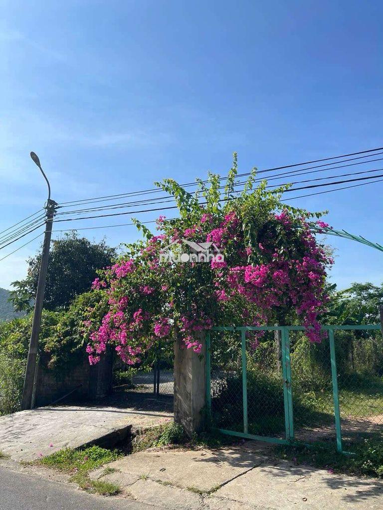 Lô đất quy chủ ngô xuân thu nối dài. đà nẵng  - Ảnh 2