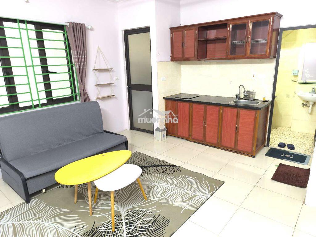 Chính chủ cho thuê căn hộ 1n1k diện tích 40m2 full nội thất - 3