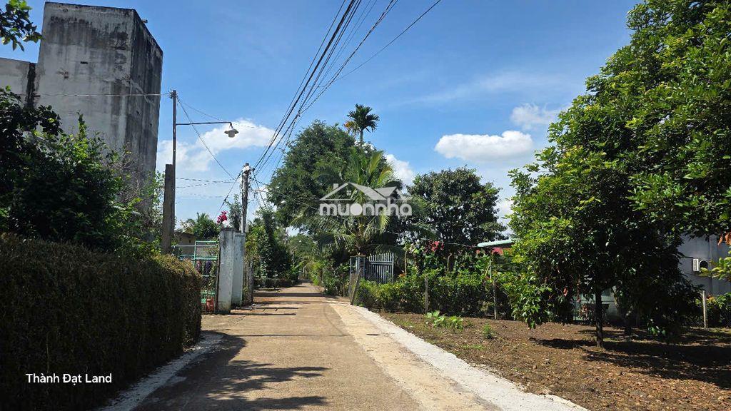 Đất 5mx22m thổ cư bán gấp giá thấp khu dân cư - 3