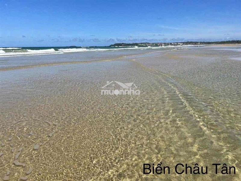 Bán đất biển châu tân đẹp nhất quảng ngãi