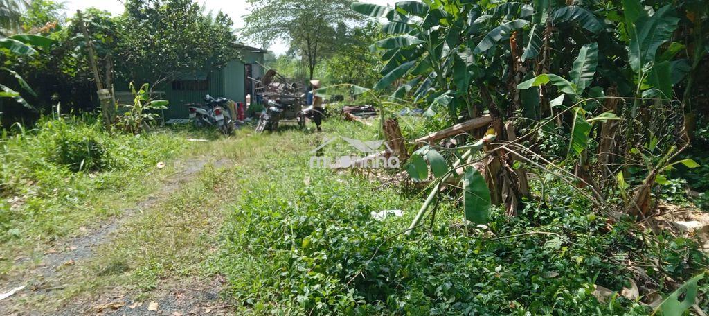 Bán đất 3159m2 ở thiện tân, vĩnh cửu, giá 5 tỷ - 4