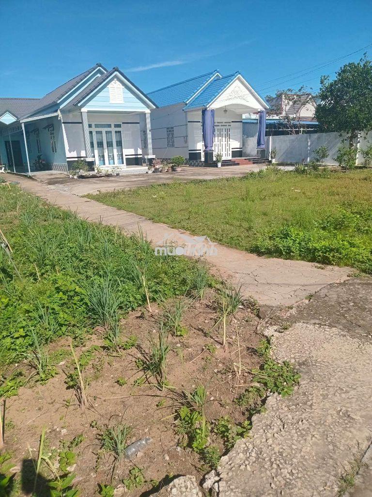 Cần bán 6,96m đất nền thổ cư mặt tiền lộ bê tông trên 3m trung tâm tđ - 4
