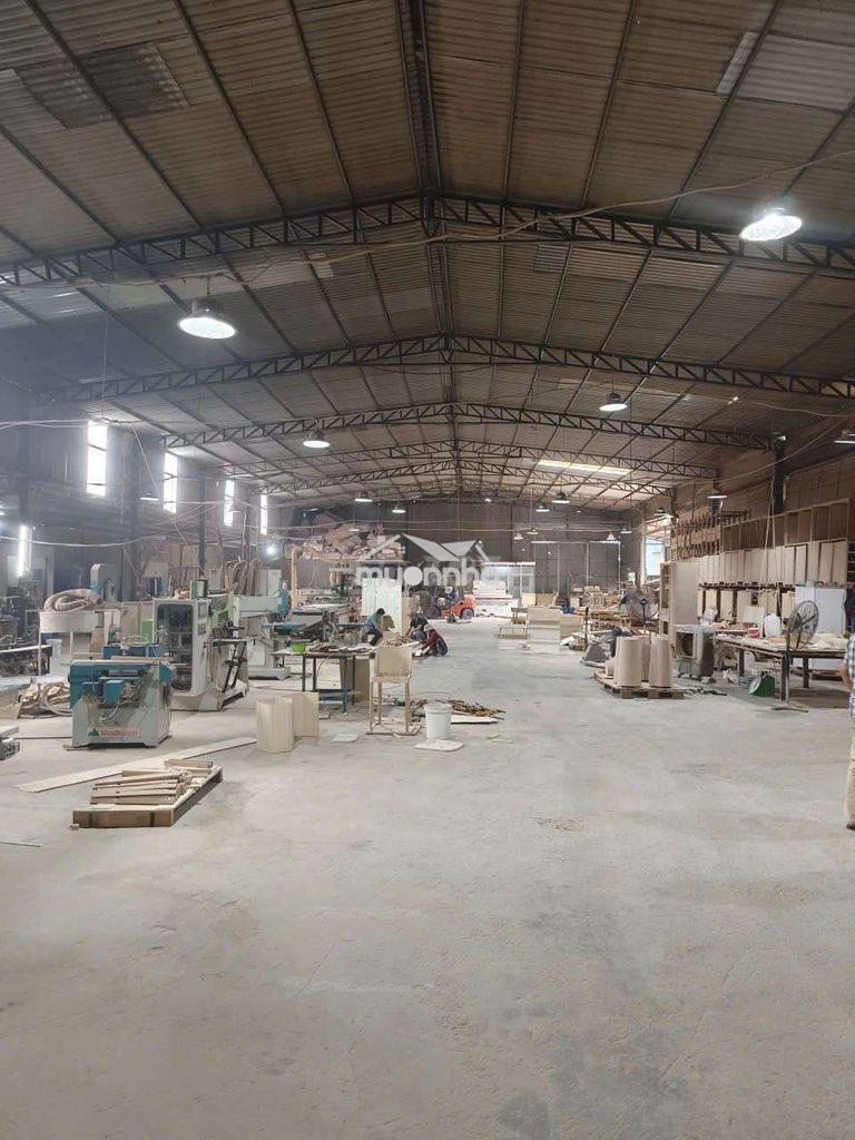 Cho thuê xưởng thuận giao thuận an bình dương