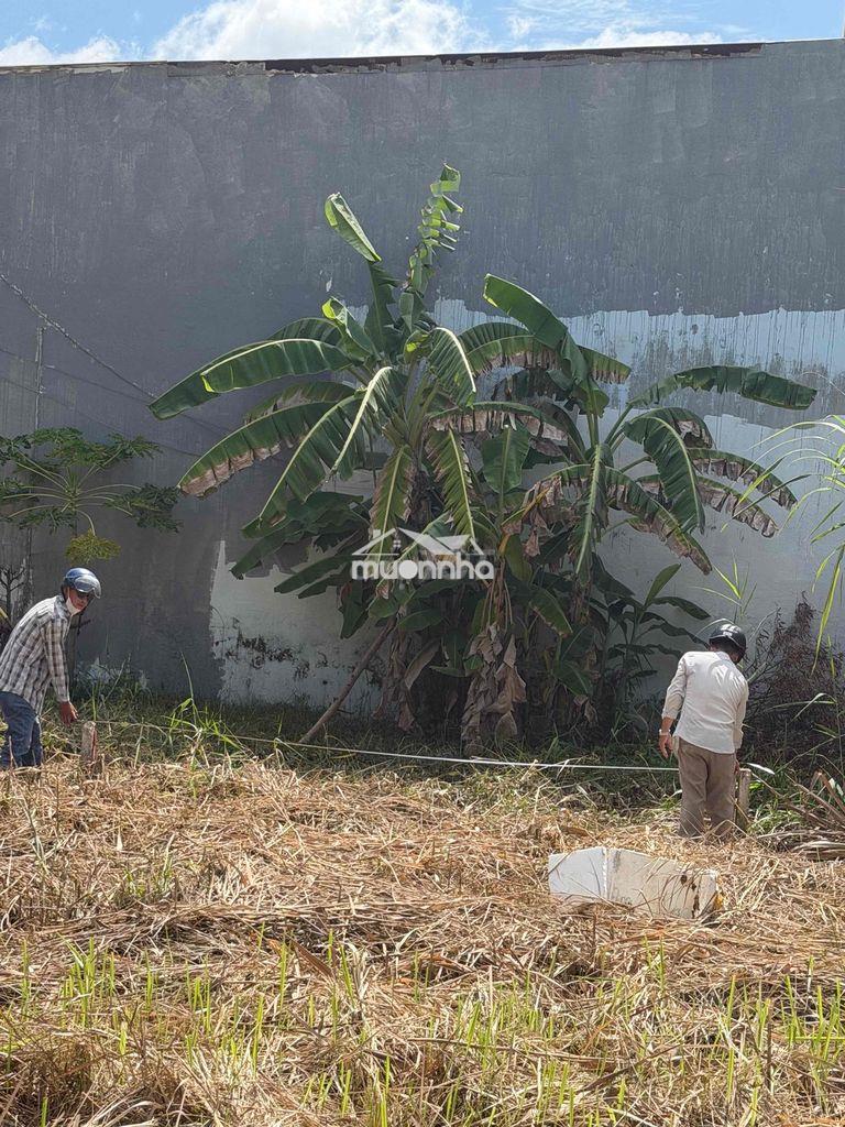 Bán đất sổ riêng long hậu giáp nhà bè - 3